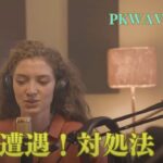【動画】 PKWAVEレポート8  生存戦略 熊との遭遇